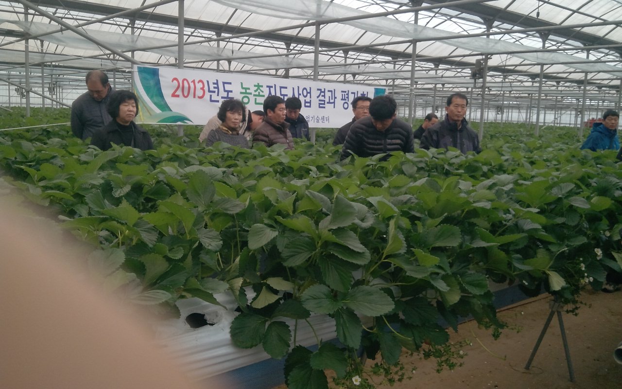 2013년 농촌지도사업 결과평가회 개최